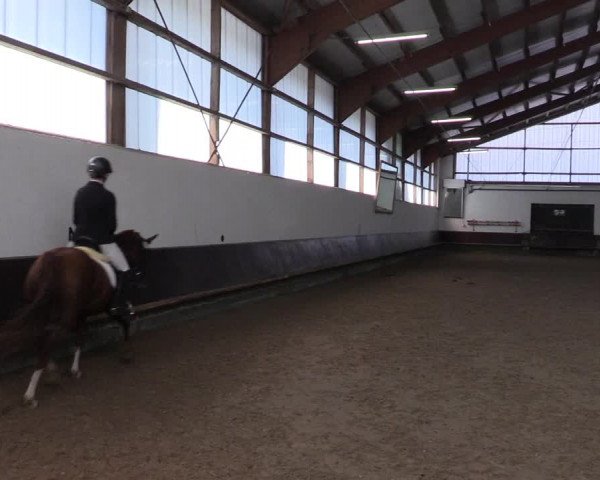 Reitturnier Albersloh 2023