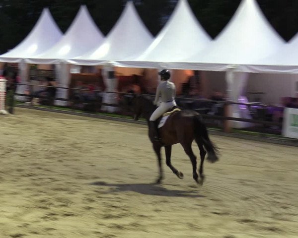 Reitturnier Albersloh 2023