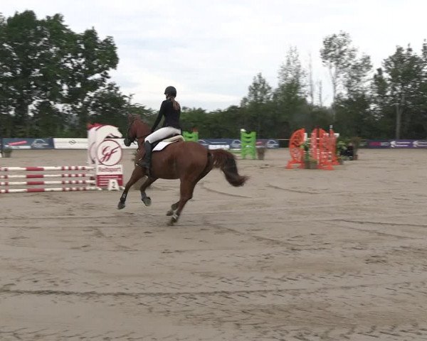 Reitturnier Scharnebeck 2023