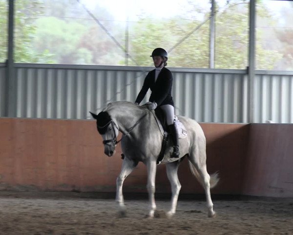 Reitturnier Marl, Hof Ostgathe 2023