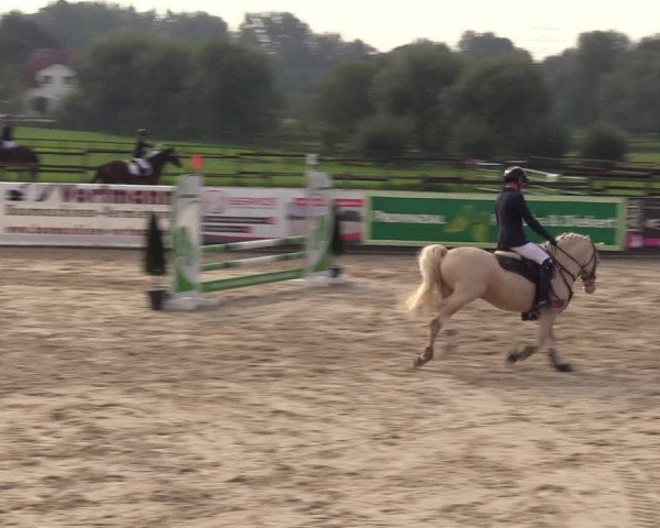 Reitturnier Marl, Hof Ostgathe 2023