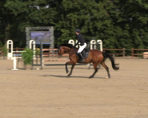Reitturnier Scharnebeck 2023
