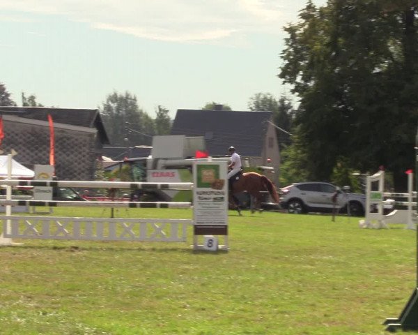 Reitturnier Altmittweida 2023