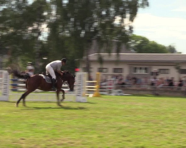 Reitturnier Altmittweida 2023