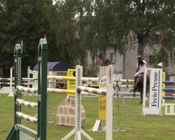 Reitturnier Altmittweida 2023