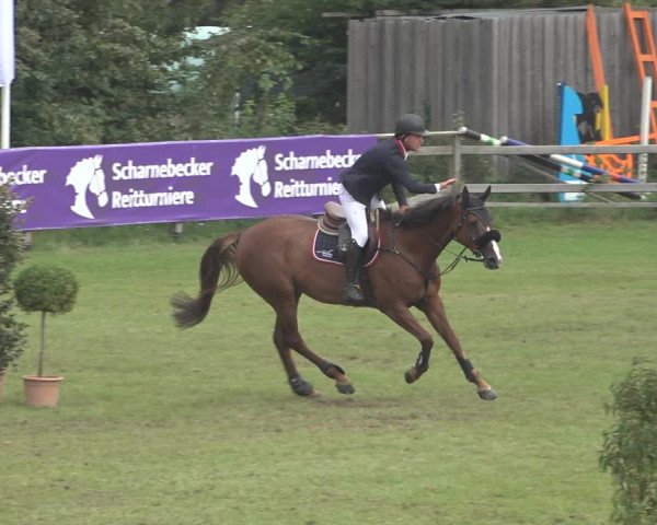 Reitturnier Scharnebeck 2023