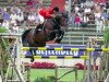 stallion Darco (Belgian Warmblood, 1980, from Lugano van La Roche)