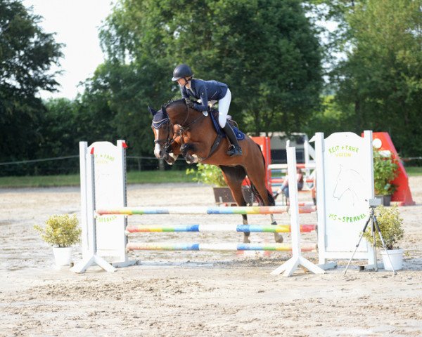 Springpferd Binaya (Westfale, 2016, von Balounito)