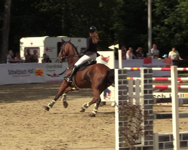 Reitturnier Buchenhof-Ibbenbüren 2023