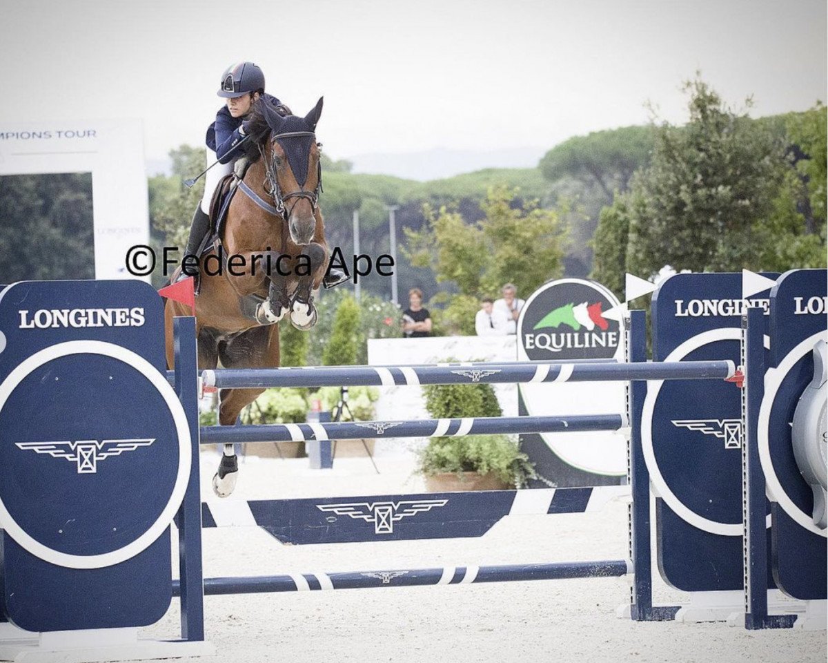 jumper Canter Della Caccia (Sella Italiano, 2012, from Castigo Della Caccia)