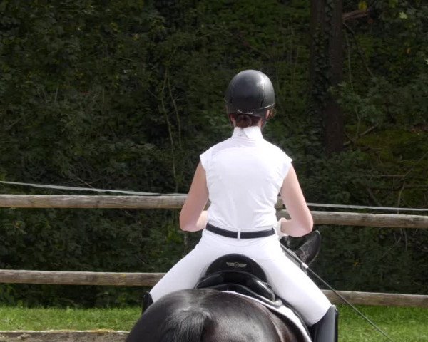 Reitturnier Ditzingen 2023