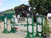 jumper Black Jack VA (Holsteiner, 2017, from Qlassic Bois Margot)