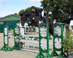 jumper Black Jack VA (Holsteiner, 2017, from Qlassic Bois Margot)