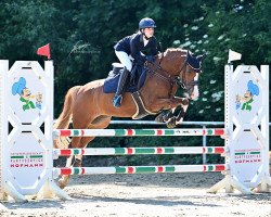 jumper Novalee (Deutsches Reitpony, 2014, from Heidbergs Nancho Nova)