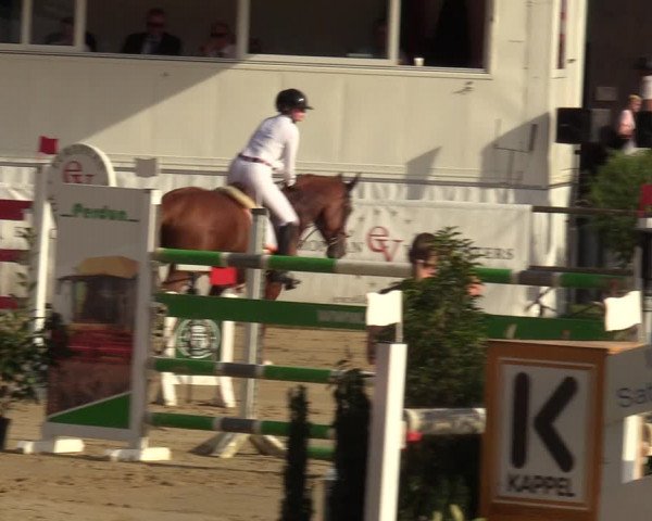 Reitturnier Albersloh 2023