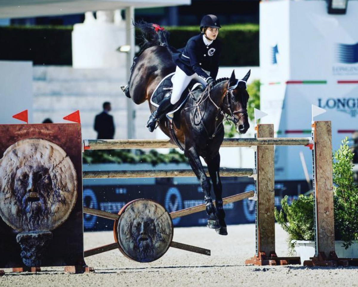 Deckhengst Vatson Sitte (Belgium Sporthorse, 2005, von VDL Cardento 933)