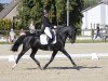 Dressurpferd Grimm Von Cux P (Deutsches Reitpony, 2011, von FS Golden Highlight)