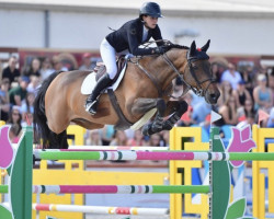 jumper Charmeur (KWPN (Royal Dutch Sporthorse), 2007, from Calvaro Z)