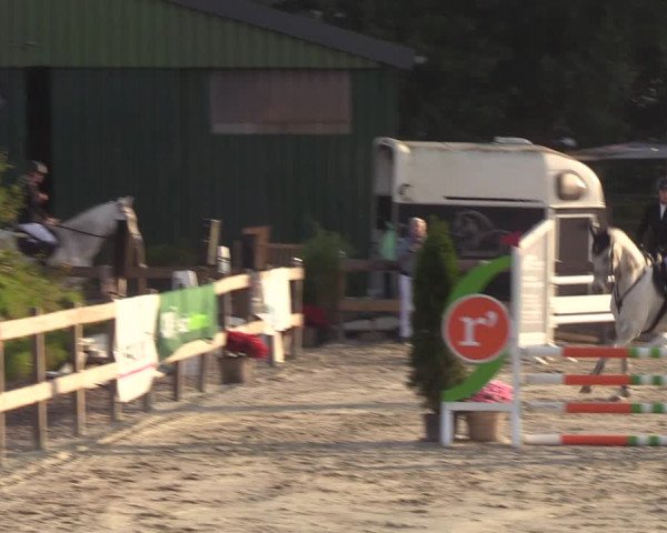 Reitturnier Loop/ Looperholz 2023