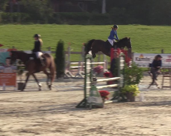 Reitturnier Loop/ Looperholz 2023