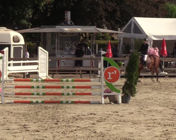 Reitturnier Loop/ Looperholz 2023