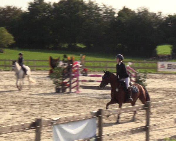 Reitturnier Loop/ Looperholz 2023
