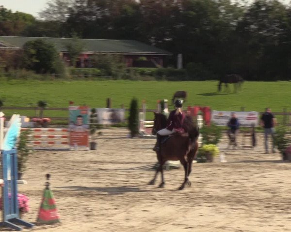 Reitturnier Loop/ Looperholz 2023