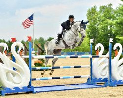 jumper Cato 90 (Hanoverian, 2015, from Cascalido)