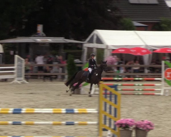 Reitturnier Loop/ Looperholz 2023