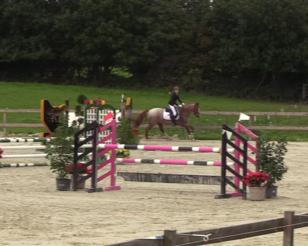 Reitturnier Loop/ Looperholz 2023