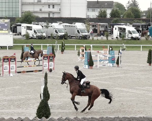 Pferdesporttage Bülach 2021