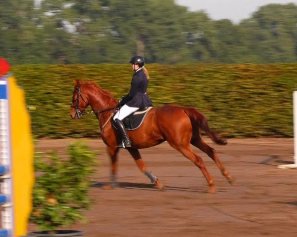 Reitturnier Lentzke - Reitanlage Krehl 2023