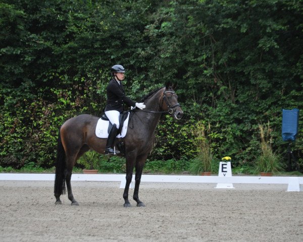 dressage horse Raffaella 5 (Hanoverian, 2017, from Spörcken)