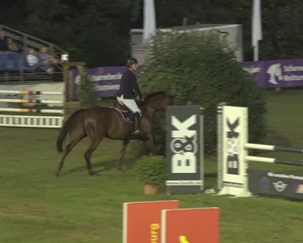 Reitturnier Scharnebeck 2023