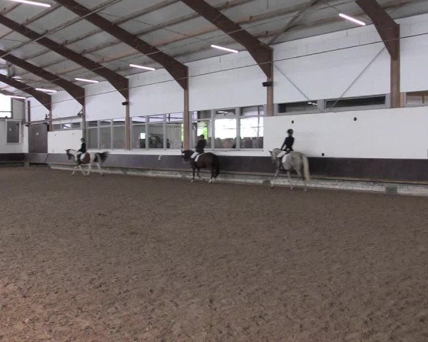 Reitturnier Albersloh 2023
