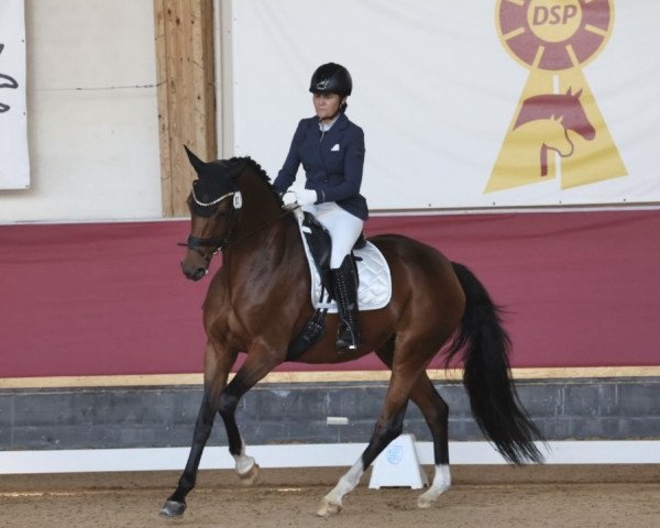 dressage horse Belle Epoque (Hanoverian, 2016, from Bordeaux 28)