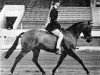 Zuchtstute Tara IV (British Riding Pony, 1954, von Erin's Pride xx)