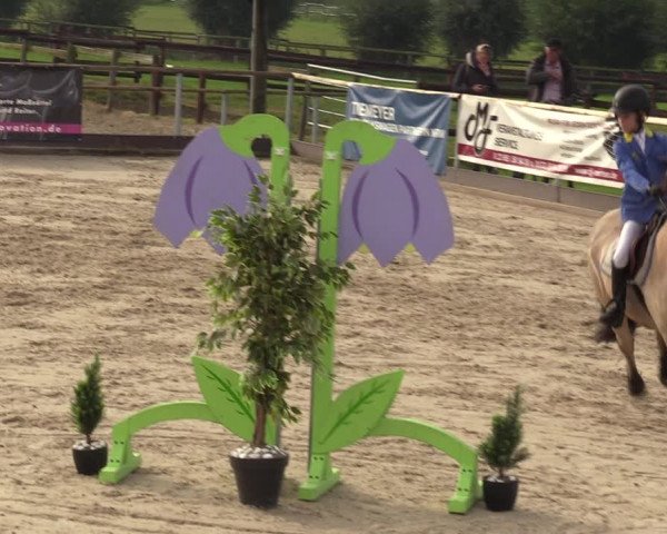 Reitturnier Marl, Hof Ostgathe 2023