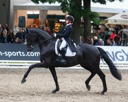 dressage horse Fallete OLD (Oldenburg, 2016, from Fürstenball)