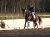 dressage horse Loreley´s Herzensspiel (Hanoverian, 2014, from Londontime)