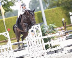 jumper Rihanna de Septon & Db (Belgian Warmblood, 2017, from Darco)