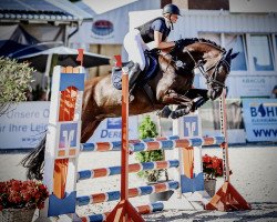 jumper Viamento FS (German Sport Horse, 2015, from Viscount 22)