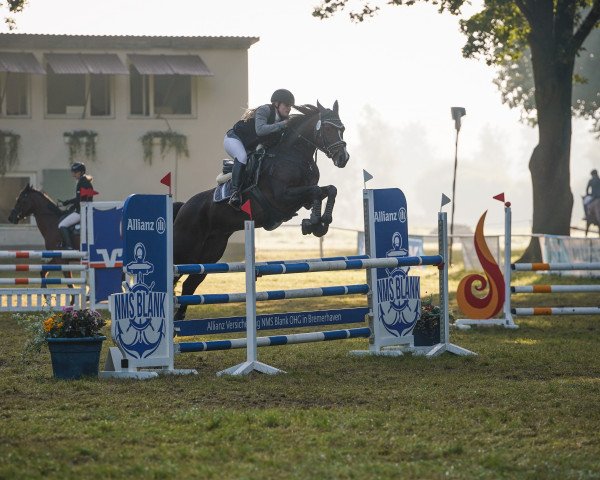 jumper Bettina 58 (Hanoverian, 2011, from Bob)