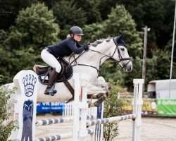 jumper Spongebob Squarepants (Czech Warmblood, 2013, from Crux Ask)