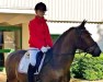 dressage horse Park's Topic (German Riding Pony, 2000, from Troubadour)