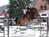 jumper Robin 743 (Hanoverian, 2009, from Sonnyfero)