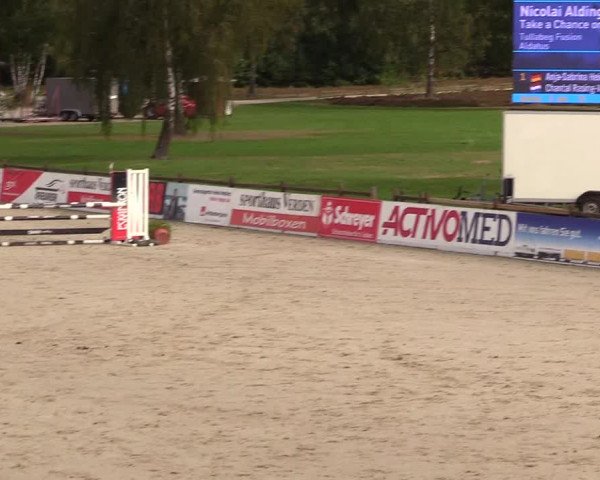 Reitturnier Westergellersen 2023