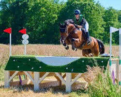 broodmare Belinda 210 (German Sport Horse, 2011, from Palmares)