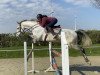 broodmare Cabria (Belgian Warmblood, 2016, from Cabrio van de Heffinck)