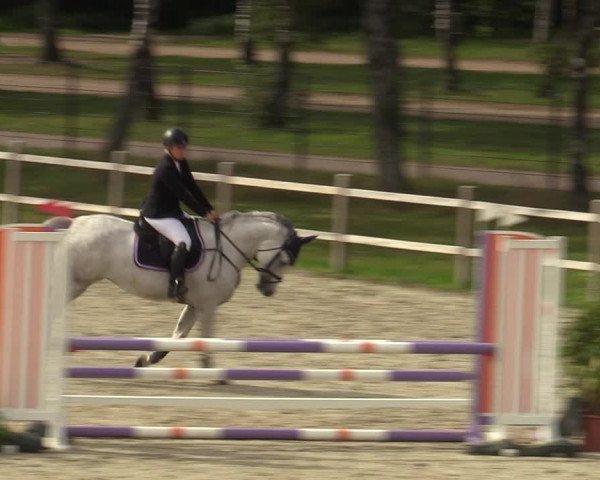 Reitturnier Westergellersen 2023